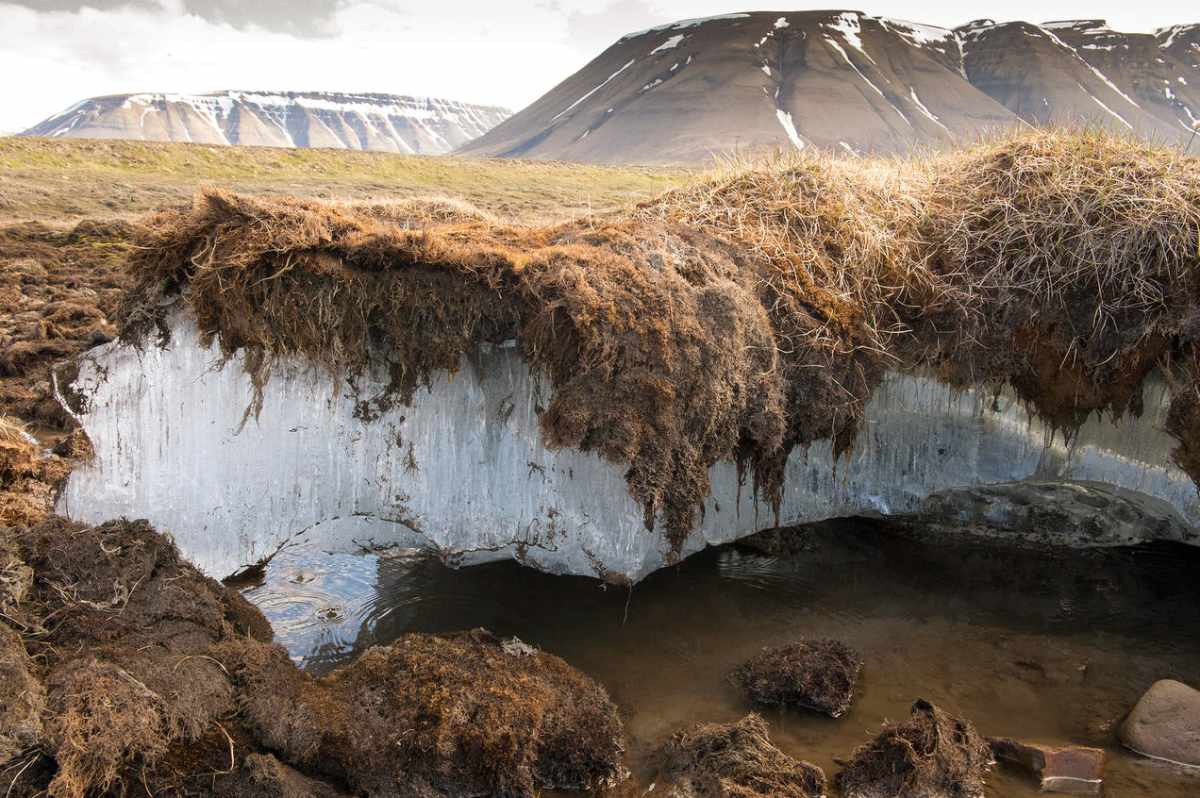 permafrost donmuş toprak