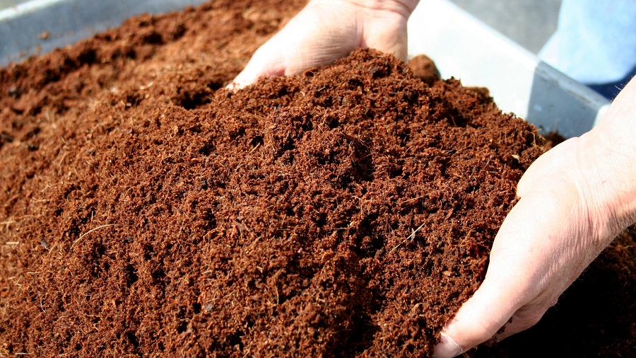 topraksız muz yetiştiriciliğinde Koko elyafı hindistan cevizini saran lifli tabakadan elde ediliyor.