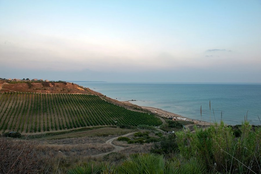 Sicilya'da şarabın tarihi