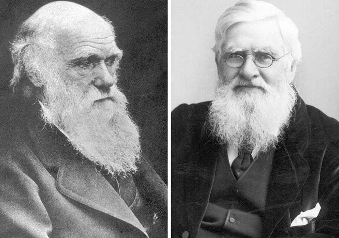 Charles Darwin ve Alfred Russel Wallace.