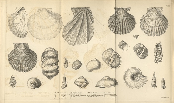 Charles Darwin'in hayatı / Geological observations on South America