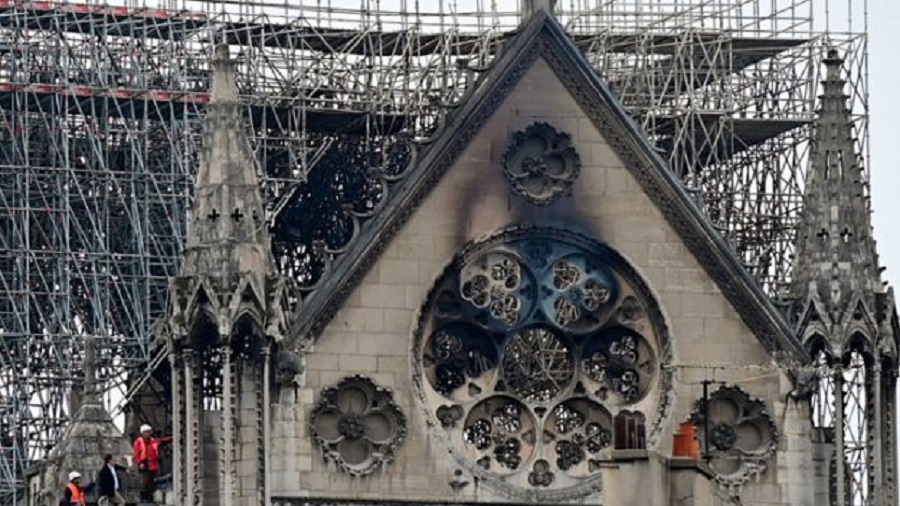 180.000 arı Notre Dame yangınından sağ çıkmayı başardı