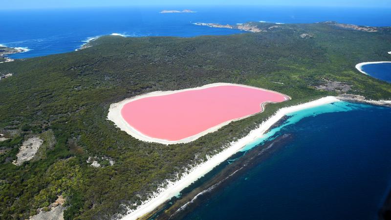 Pembe göl Hillier Gölü avustralya