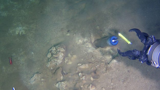 petrol yiyen bakteri araştırması ve Çin denizaltısı 2012'de 7.000 metre derinlikteki Mariana Çukuru'ndan örnek alırken