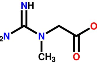 kreatin