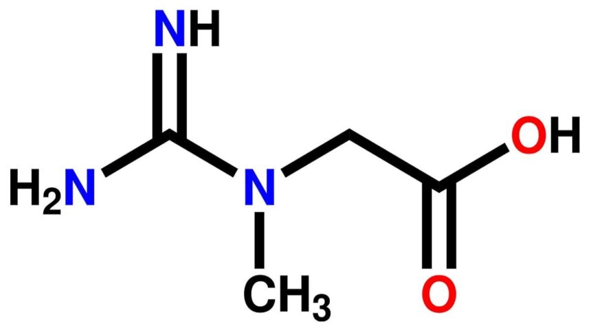 kreatin