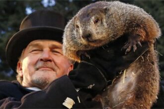 Groundhog günü