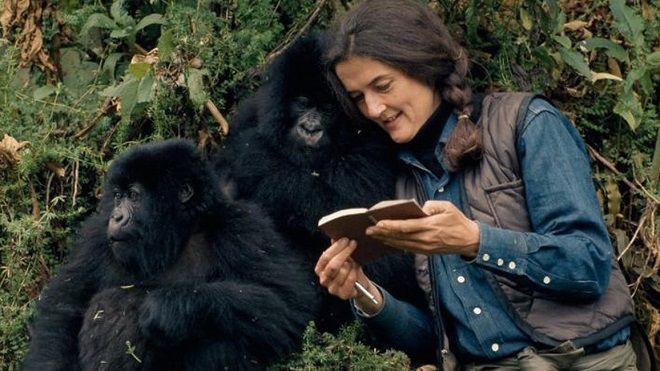 Dian Fossey kadın bilim insanı