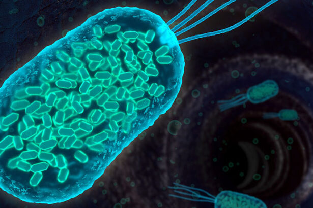 antibiyotiğe dirençli bakteri