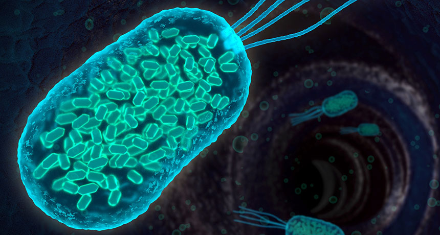 antibiyotiğe dirençli bakteri