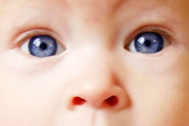 bebek mavi göz