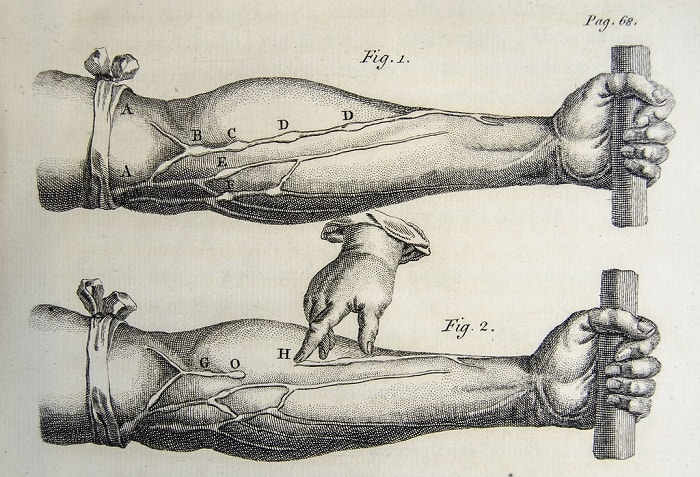 William Harvey / De motu cordis adlı eserinden önkol ameliyatını gösteren levha, 1628