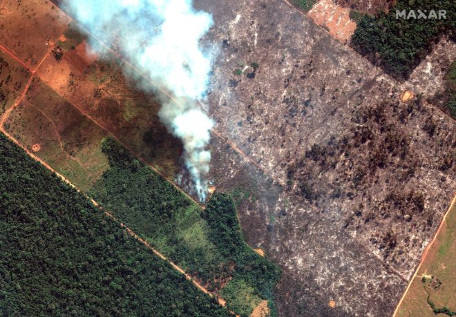 amazon yağmur ormanları yangını uydu görüntüsü