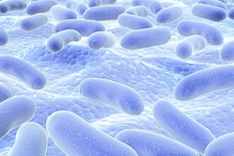 Lactobacillus plantarum (L. plantarum)'un yararları ve kullanım şekli