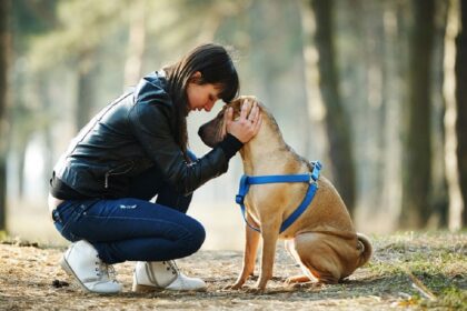 Köpek sahibi olmak kalp sağlığını iyileştiriyor