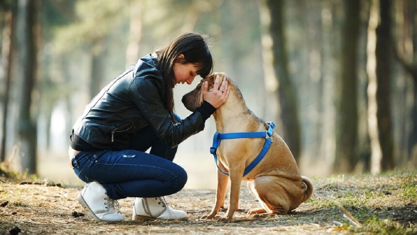 Köpek sahibi olmak kalp sağlığını iyileştiriyor