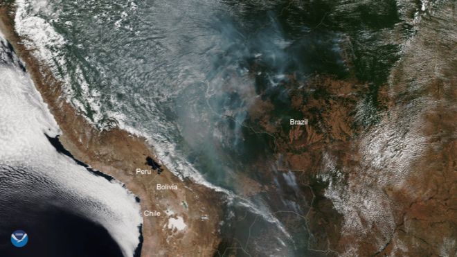amazon yağmur ormanları yangını uydu görüntüsü