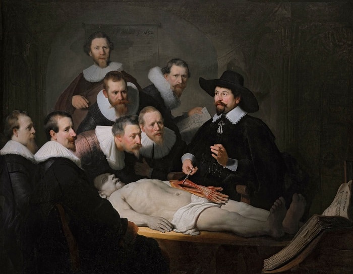 Rembrandt'ın 1632 tarihli Dr Nicholaes Tulp'un Anatomi Dersi isimli tablosu Amsterdam Cerrahlar Loncası'na yeni atanan kamu anatomistlerini resmeder, loncanın varlıklı üyeleri tabloda yer almak için ödeme yapmıştı; kadavra ise diseksiyonla son bir kez cezalandırılmadan önce palto çalmaktan idam edilen Aris Kint'in bedeniydi.