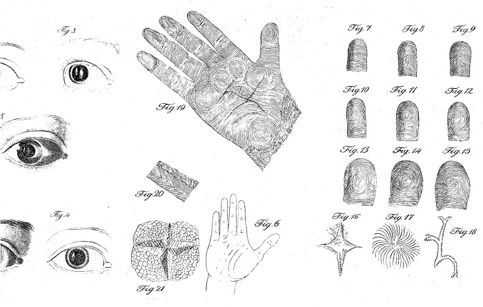Purkinje görüntüleri, bir ışık kaynağının gözün optik yapılarından yansımasını gösterir. Bunlar Purkinje'nin 1823 yılındaki kornea ve mercekten ve de gözün diğer kısımlarından bir mum ışığının yansımasını gösteren çizimlerdir (solda). Purkinje'nin 1823'te Breslau'daki açılış konuşmasında gösterdiği dokuz parmak izi dizgesi (sağda)