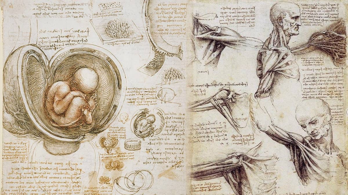 Anatominin hikayesi ve tarihsel gelişimiyle ilgili tüm detaylar
