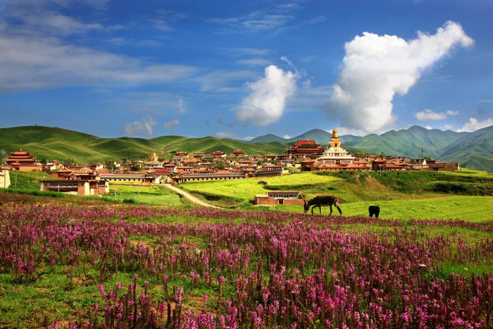 Tibet arazisi