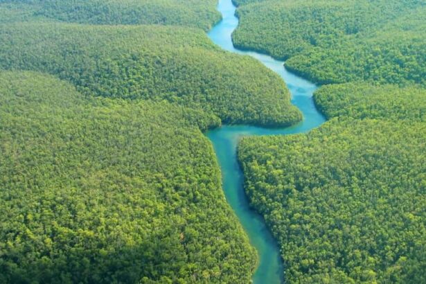 Dünya'nın en uzun nehirlerinden amazon nehri'nin havadan görüntüsü