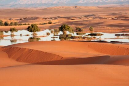 vaha sahra çölü kuzey afrika