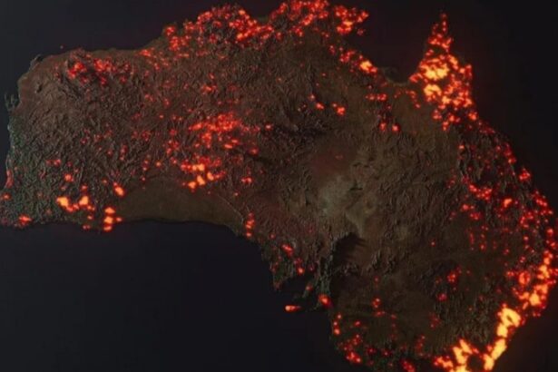Avustralya orman yangını haritası