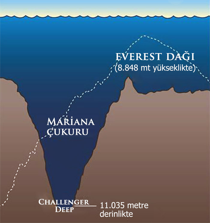 Mariana Çukuru'nun derinliği ve Dünya'nın en derin noktası olan Challenger Deep. 