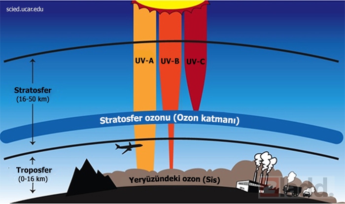 Stratosferdeki ozon tabakası, dünyadaki yaşamı, ultraviyole radyasyonun en zararlı çeşitleri olan UV-B ve UV-C'den koruyor