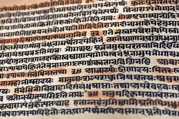 sanskritçe bir metin