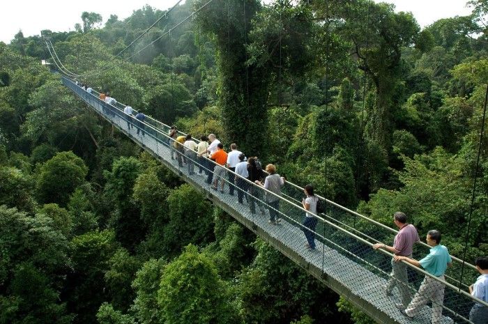 yağmur ormanlarına sahip SİNGAPUR