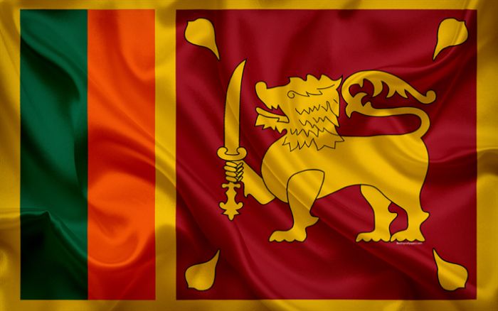 Sri Lanka bayrağında altın aslan Seylanların önceki bayrağından gelir; etrafındaki dört küçük yaprak Budist sembolü ve Kastane kılıcı otoriteyi simgeliyor. Kırmızı kısım Seylanları, 1978'e ait bu modern versiyondaki yeşil Müslümanları ve turuncu ise Hinduları gösterir. Sarı çerçeve Budistlerin diğer dinleri koruduğunu gösterir.