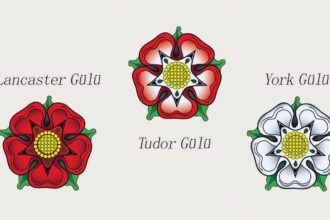 güller savaşı lancaster-tudor-ve-york-gülleri