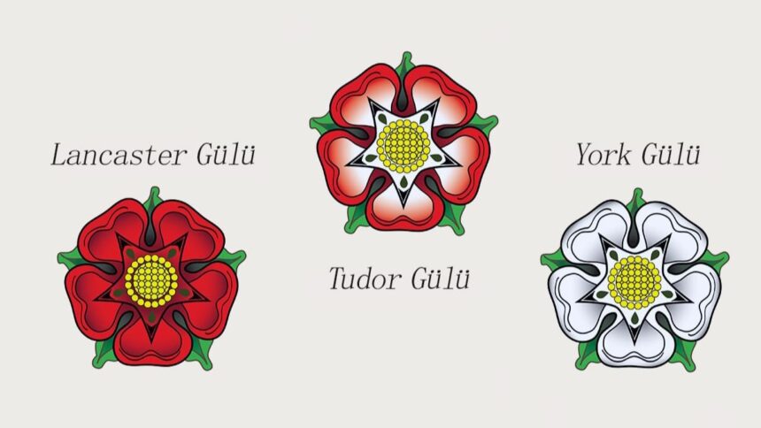 güller savaşı lancaster-tudor-ve-york-gülleri