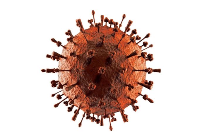 H1N1 H5N1 influenza A virüsü partikül virionu