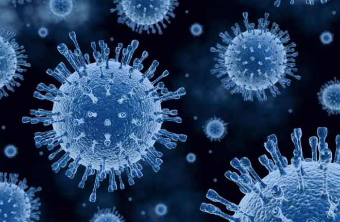 Virüs, bulaştığında ölümcül olabilir ve bazense hiçbir etki oluşturmaz