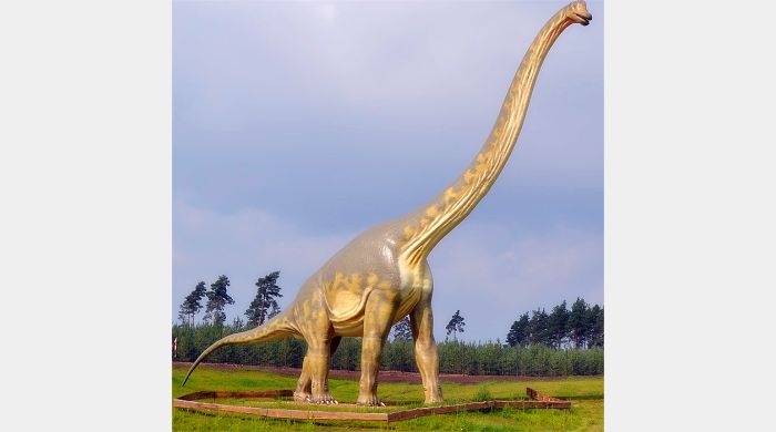Jurassic Dönemi dinozorları arasında Brachiosaurus.