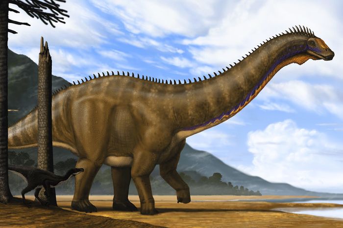 Jurassic Dönemi dinozorlarından olan brontosaurus.