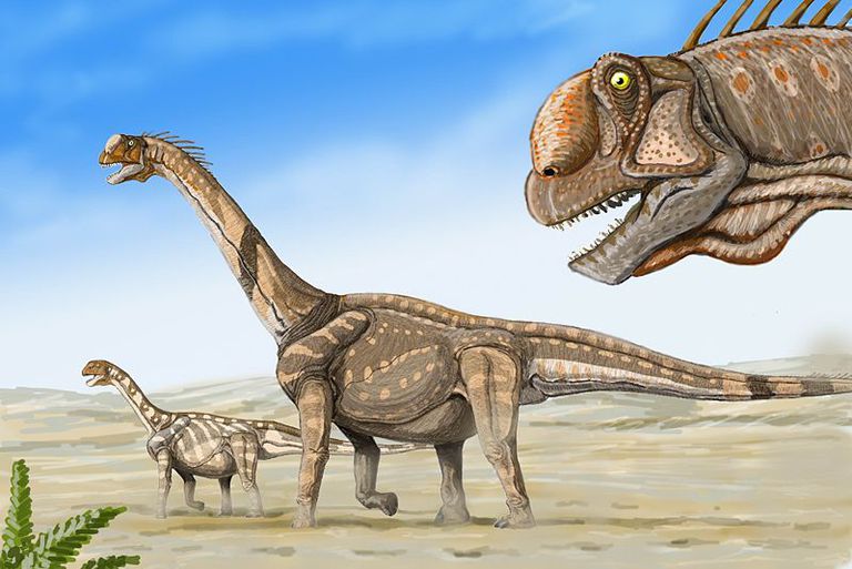 Jurassic Dönemi'nde yaşamış dinozorlardan Camarasaurus.