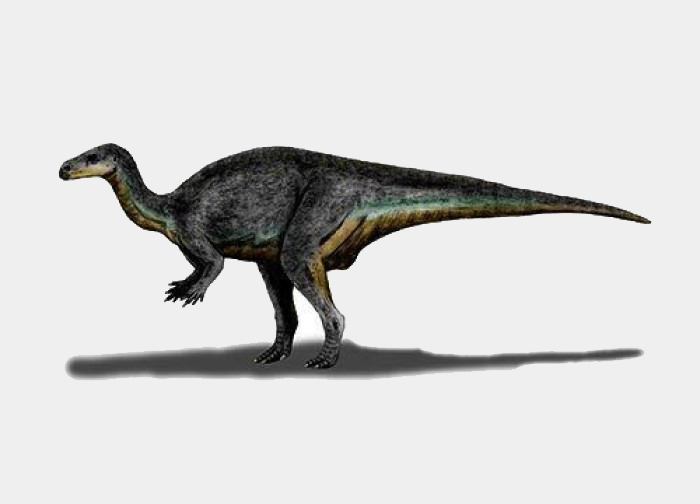 Jurassic Dönemi'nde yaşamış dinozorlardan Camptosaurus.