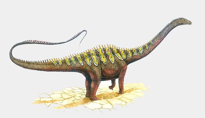 jurassic dönemi'nde yaşamış dinozor diplodocus.