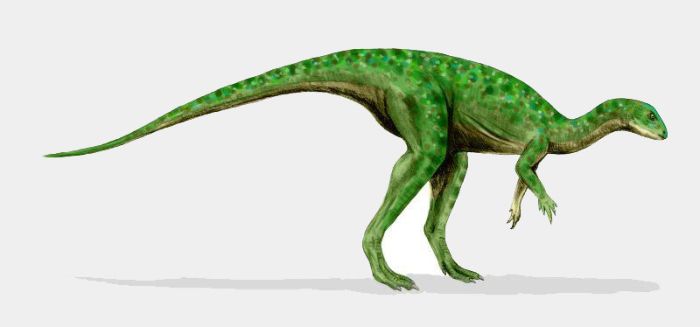 jurassic dönemi'nde yaşamış dinozor drinker.