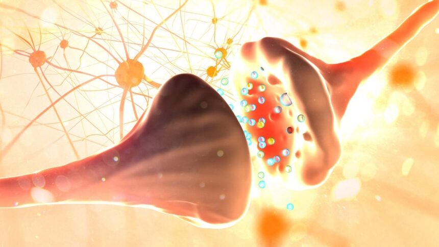 Gamma Aminobutyric Acid (GABA)