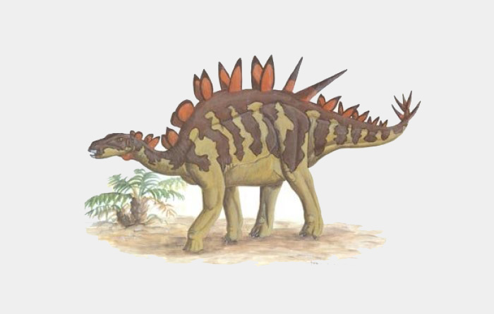 jurassic dönemi'nde yaşamış dinozor Huayangosaurus.