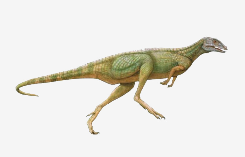 jurassic dönemi'nde yaşamış dinozor Lesothosaurus.