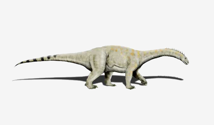 jurassic dönemi içinde yaşamış dinozorlardan Vulcanodon'un resmi.