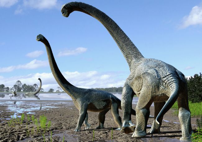 En bilinen dinozor türleri Titanozor