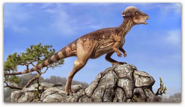 Kuşların ataları bu dinozorların sınıfları nelerdir? Ornithischian