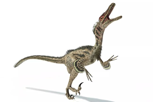 En bilinen dinozor türleri raptor